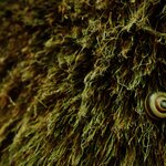 Photo taken by Caroline K