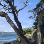 Photo taken by Bao T