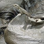 Photo taken by Morton A