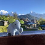 Photo taken by Dee M