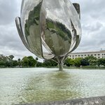 Photo taken by carlos d