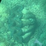 Photo taken by Julie H