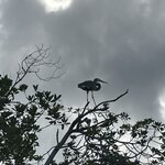 Photo taken by Pip S