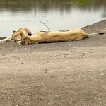 Photo taken by Nigel R