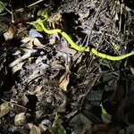 Photo taken by Julie S