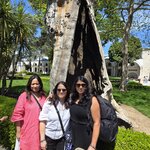 Photo taken by Sushma S