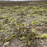 Photo taken by Frank L