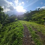 Photo taken by Emelyn J