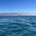 Photo taken by Sofia W