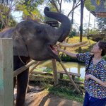 Photo taken by Suprema M