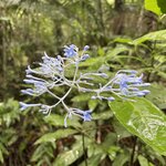 Photo taken by Kara H