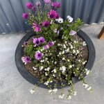 Photo taken by Deann M