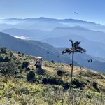 Photo taken by Todd M