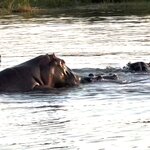 Photo taken by Tom B