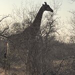 Photo taken by Janie W