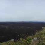 Photo taken by Patricia D