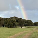 Photo taken by Rosemary S