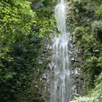 Photo taken by Brett F