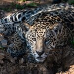 Photo taken by Matt W