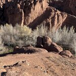 Photo taken by colleen o