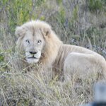 Photo taken by William R