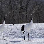 Photo taken by Iain M