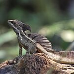 Photo taken by Ceinwen P