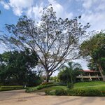 Photo taken by Kristy P