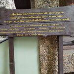 Photo taken by Janice D