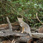 Photo taken by Eric T