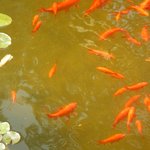 null | Photo taken by Wayne P