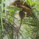 Photo taken by Norberto R