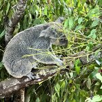 Photo taken by Hari R