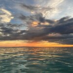 Photo taken by Edit M