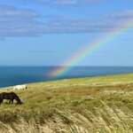 Photo taken by Tim Z