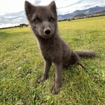 Photo taken by Sara W