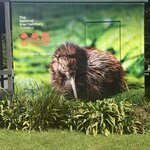 Photo taken by Wendell C