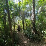 Photo taken by Bree J