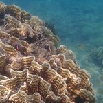 Photo taken by Dixie W