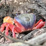 Photo taken by Ben B