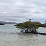 Photo taken by Jennifer A