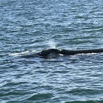 Photo taken by Joanne B