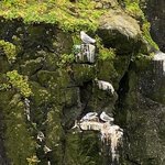 Photo taken by Eliza M