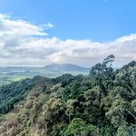 Photo taken by Judy H