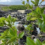 Photo taken by Maggie K