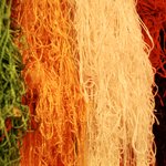 Cactus silk wool for rugs | Photo taken by Margi S