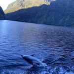 Photo taken by Gabrielle H