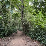 Photo taken by Kate R