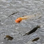 Photo taken by Jason P