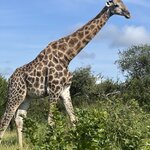 Photo taken by Crystall P